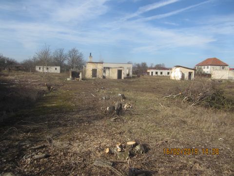 Foto 331